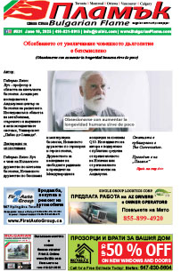 Issue 531
